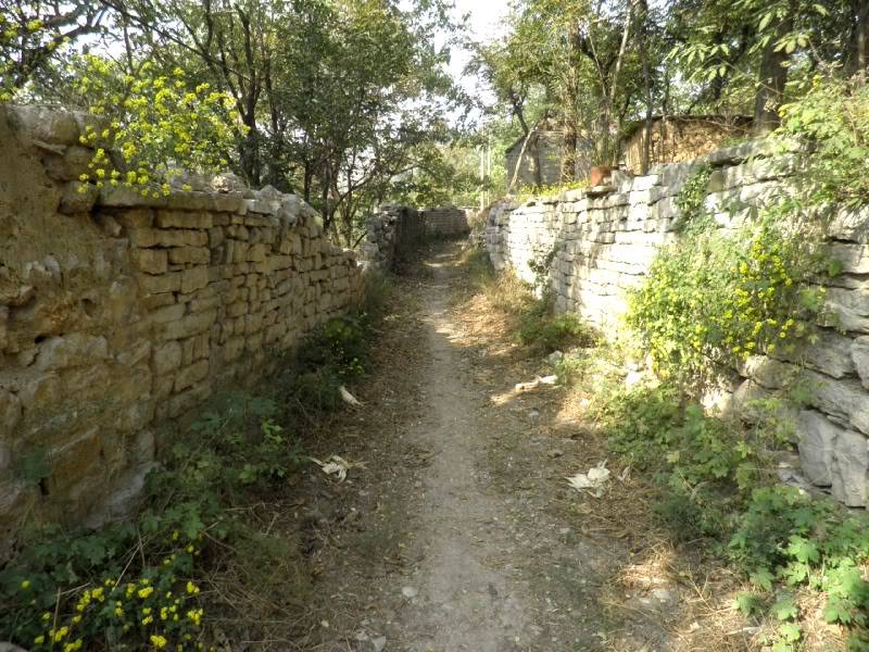 PA232963.jpg