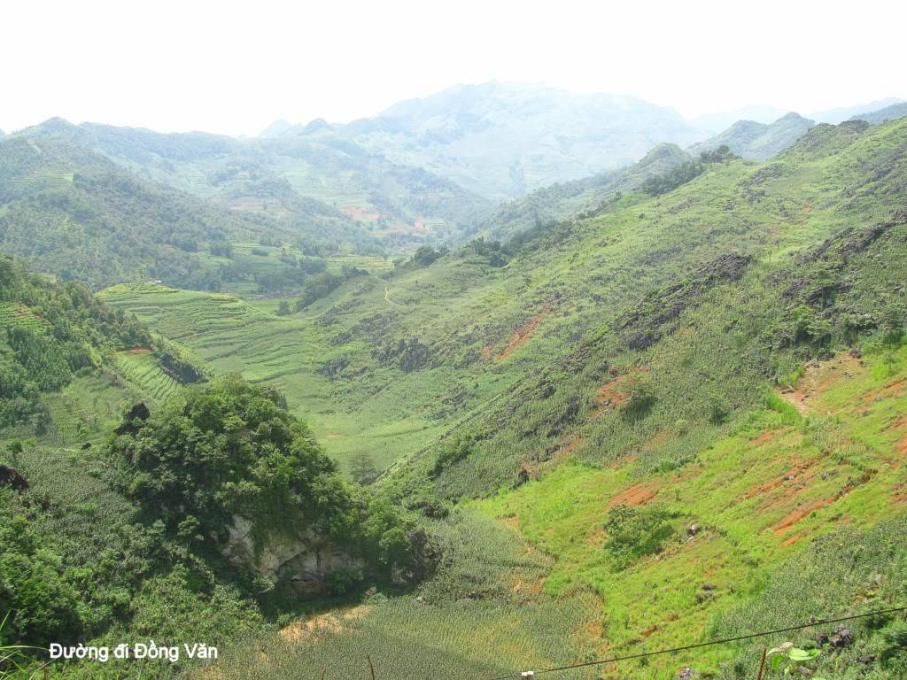 ngingVn-0011024x768.jpg