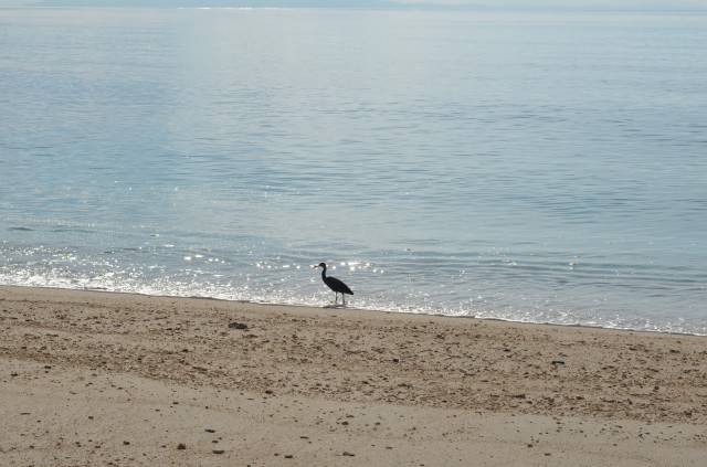 DSC_2242.jpg