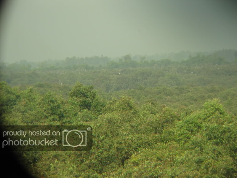 DongThapTET2011316.jpg