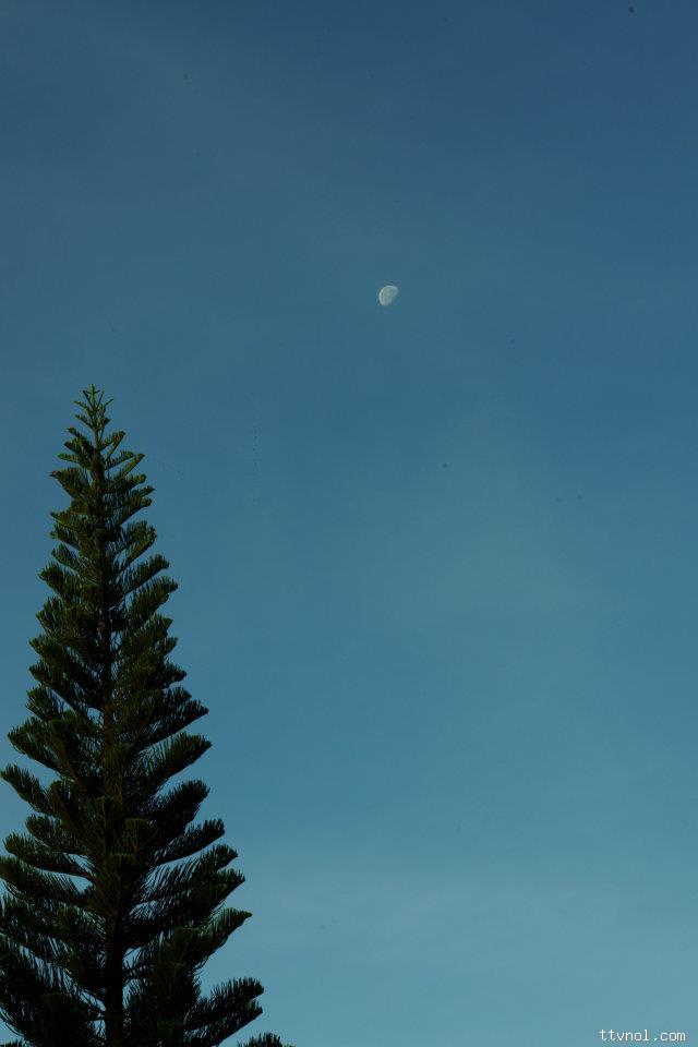 540339207_n_1331268517.jpg