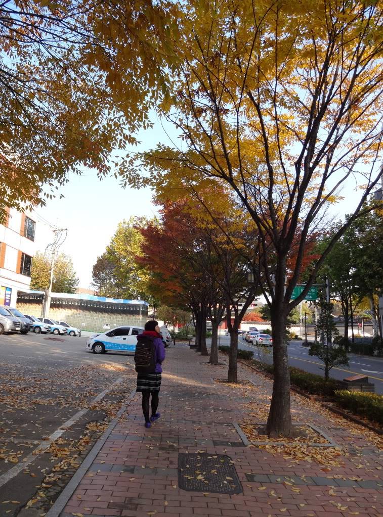 DSC00131.jpg