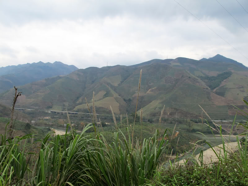 HongNgai2011799.jpg