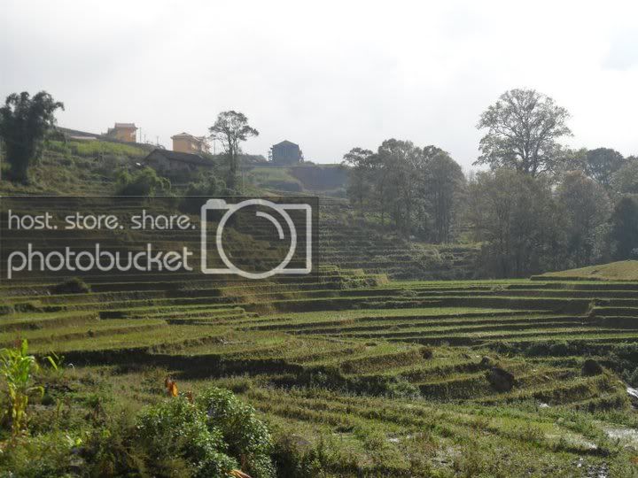 ruongbacthang.jpg