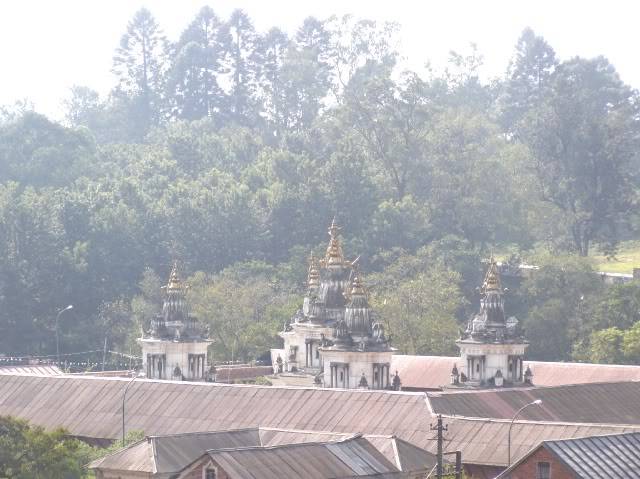 PB050105.jpg