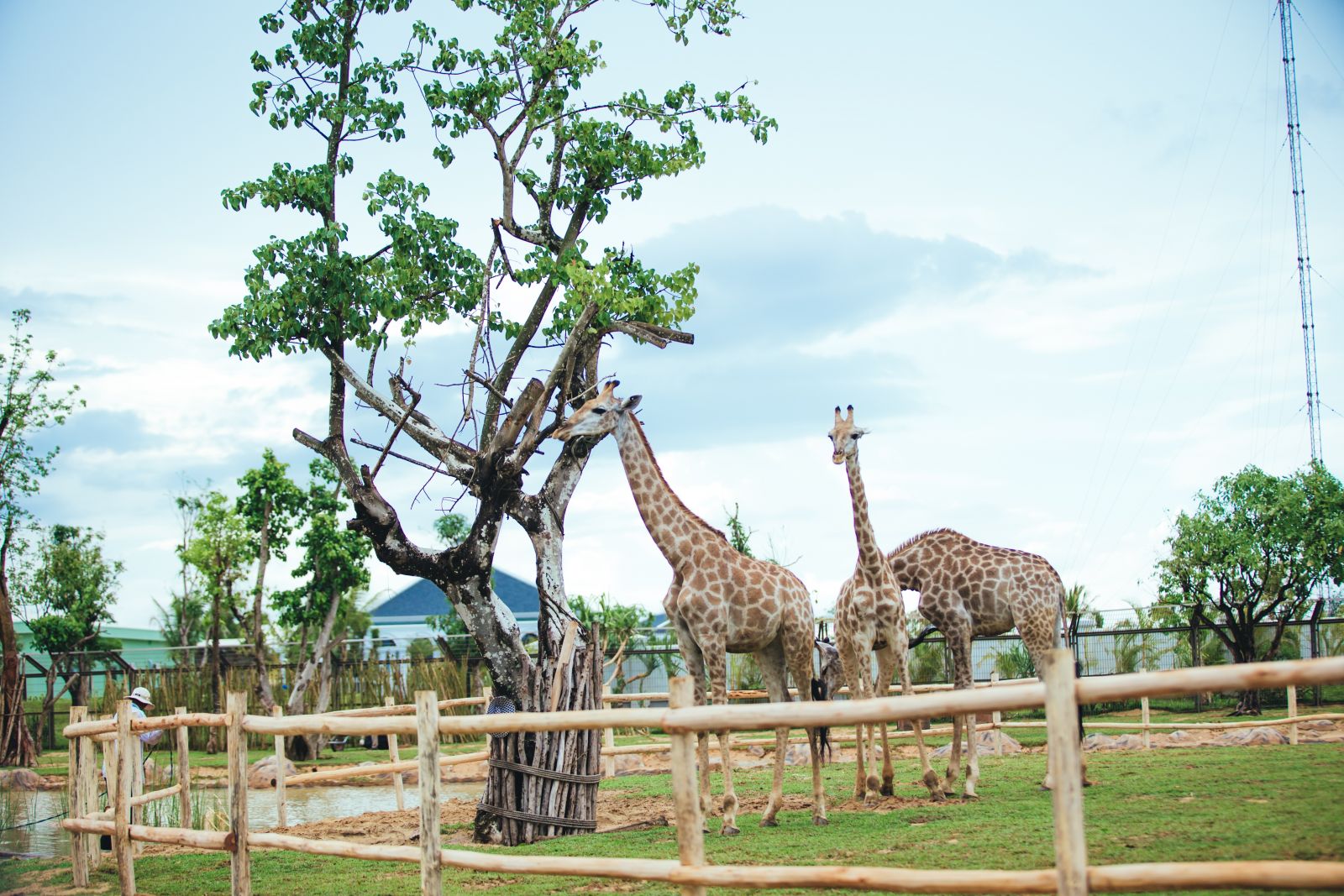 GIÁ VÉ VINPEARL LAND NAM HỘI AN