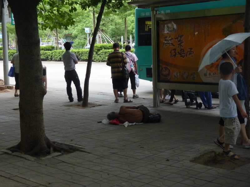 P1030704.jpg