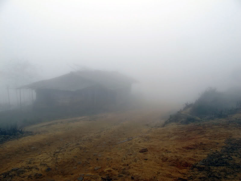 HongNgai2011265.jpg