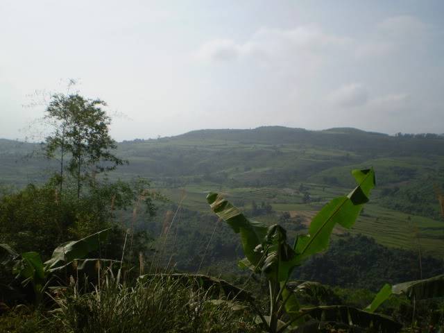 P1010116.jpg