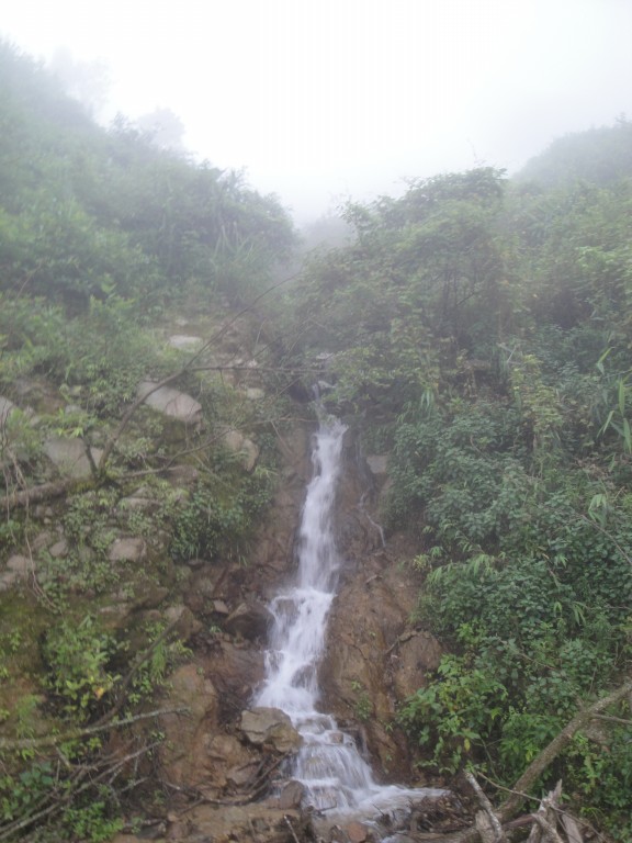 DSC00536_zps0c6ebc3f.jpg