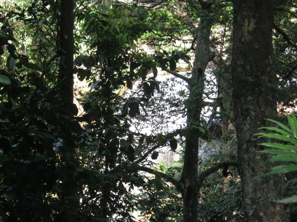 IMG_6003.jpg