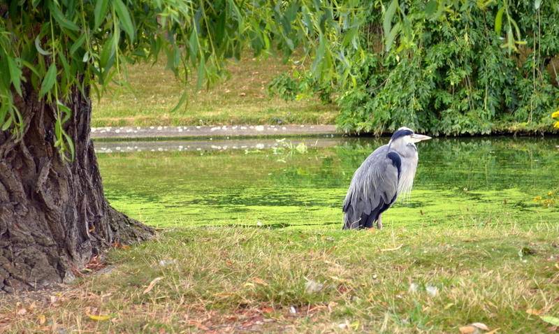 DSC_3507.jpg