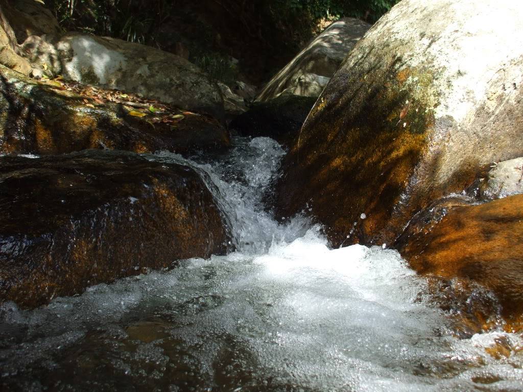 DSCF42581.jpg