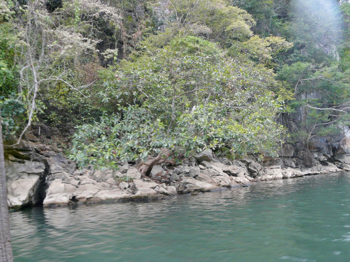 P1050534.JPG