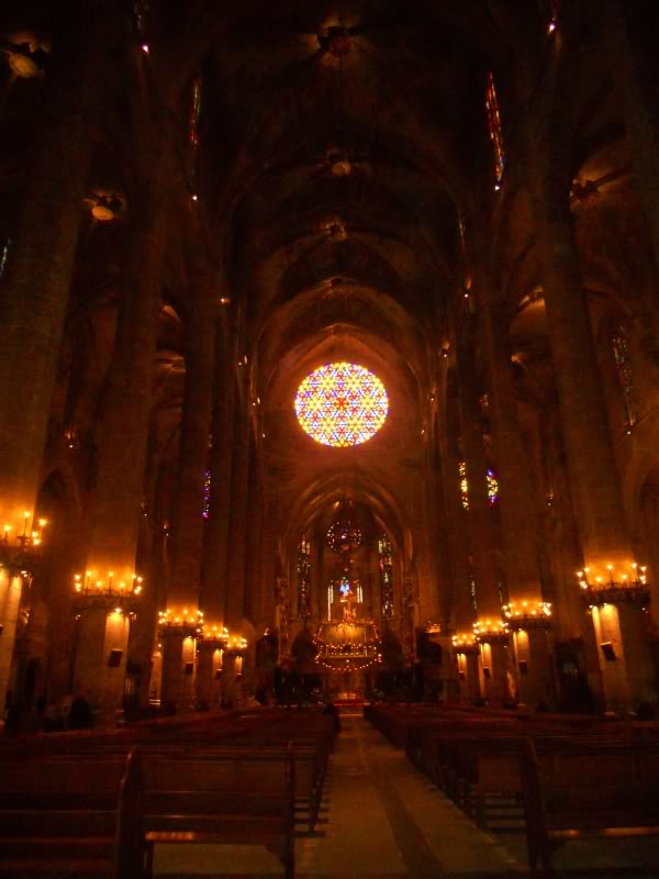 DSCN6771.jpg