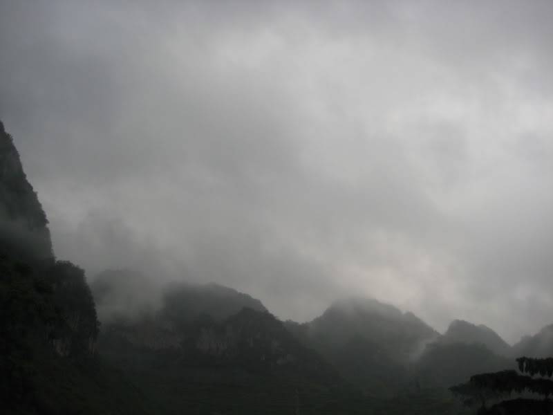 IMG_2673.jpg