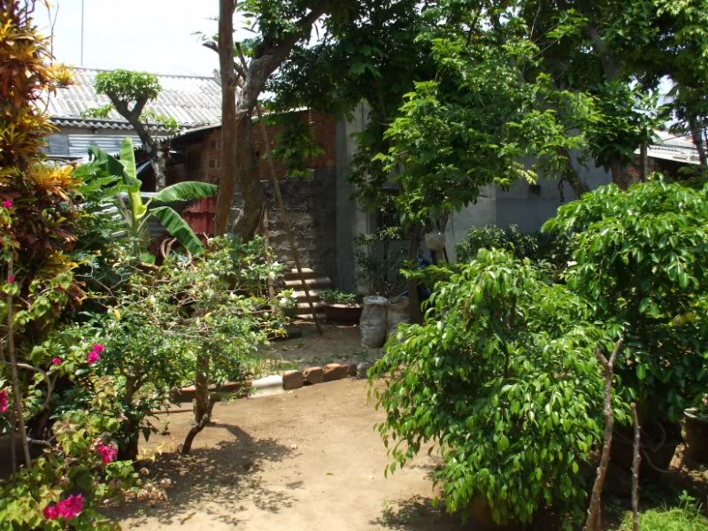 DSCF6712.jpg