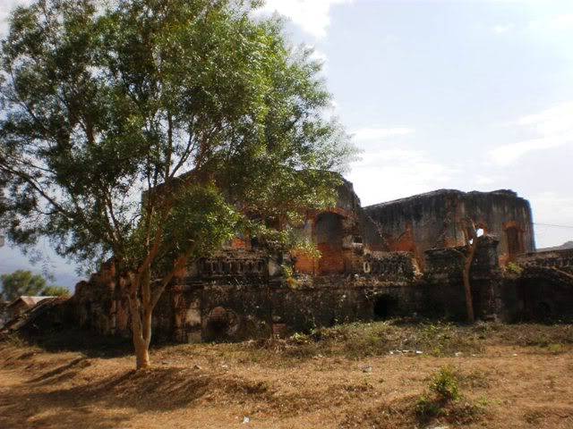 P2070746.jpg