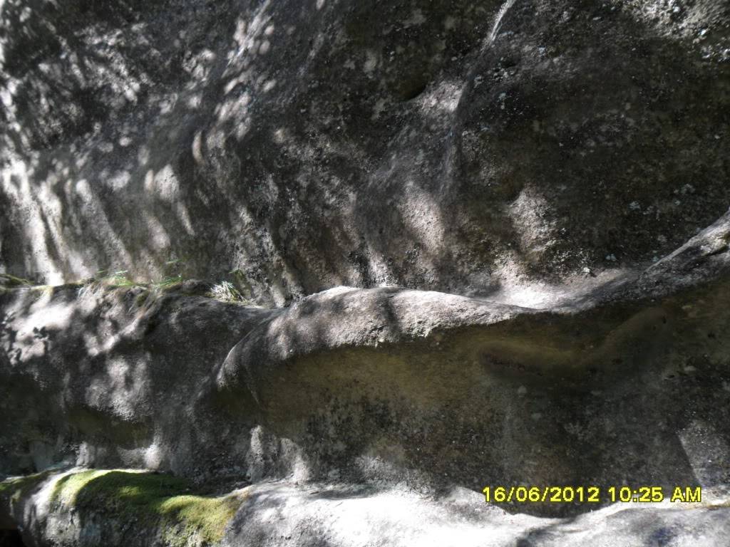 SAM_0349.jpg