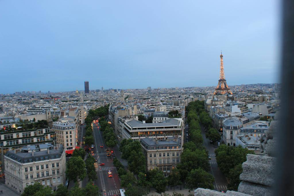IMG_2239.jpg