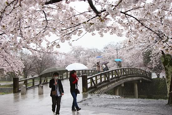 Arashiyama.jpg