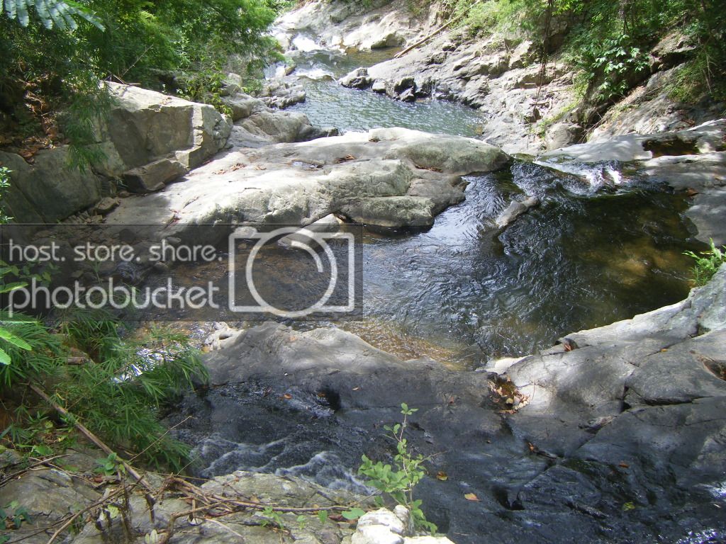 DSCF9353.jpg