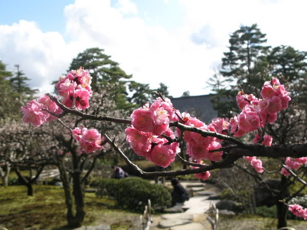 IMG_1852_resize.jpg