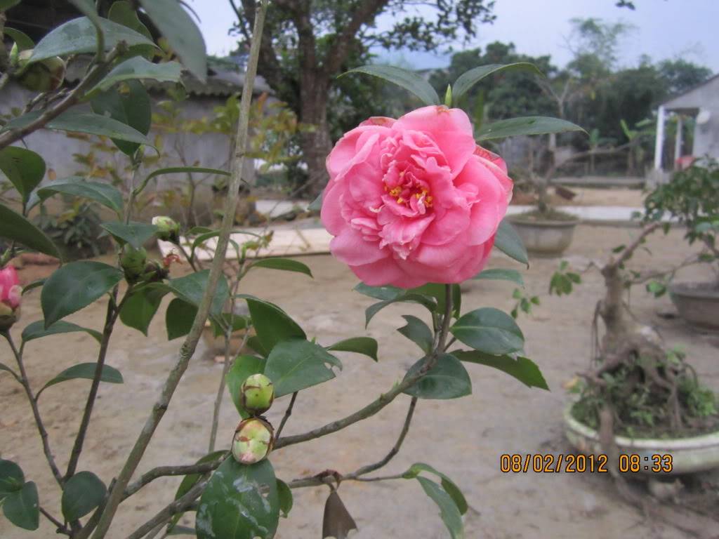 IMG_2494.jpg