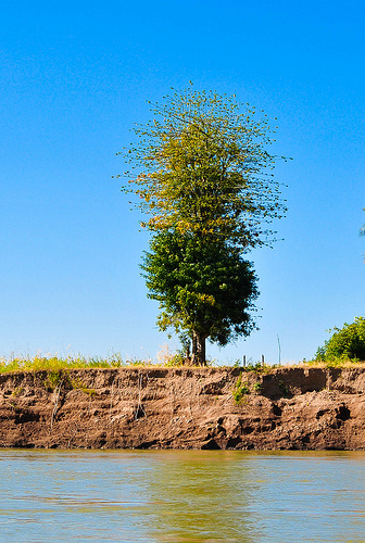 6641383989_b4694996f1.jpg