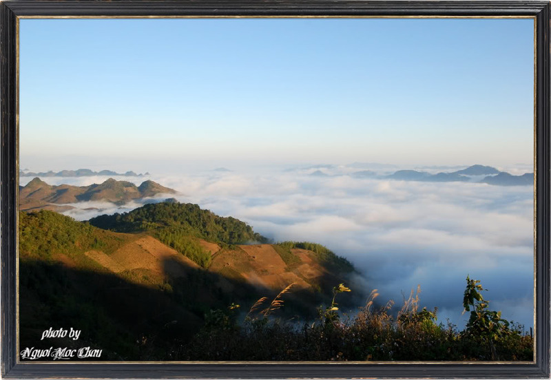 DSC_0212-1.jpg