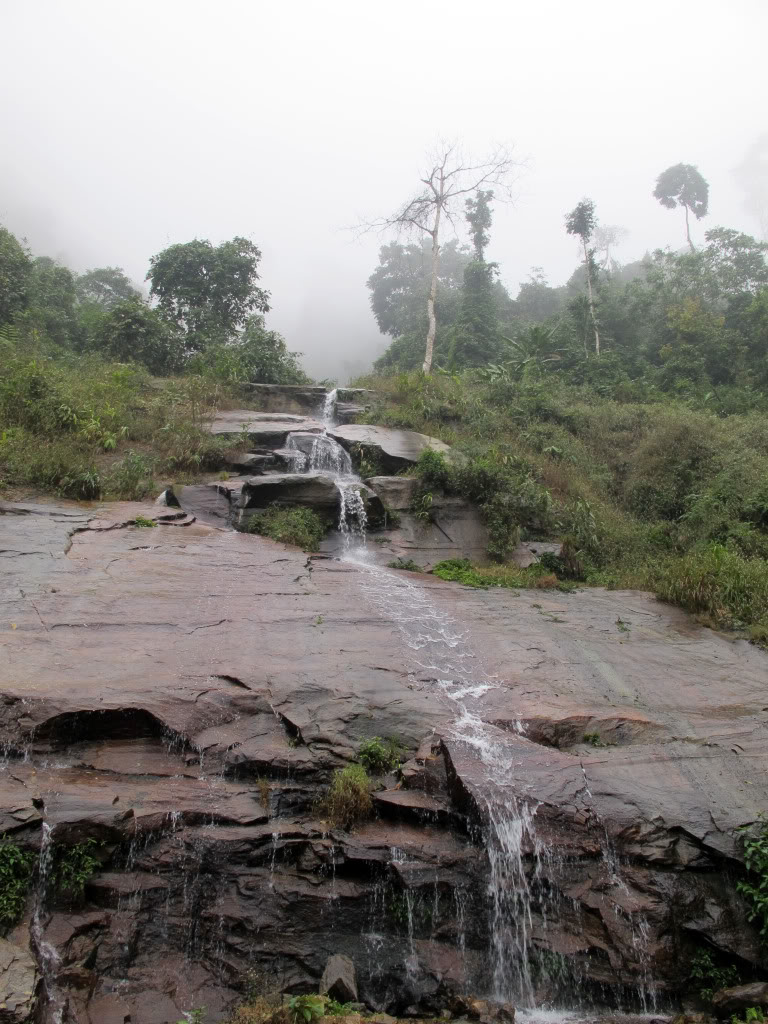HongNgai2011767.jpg