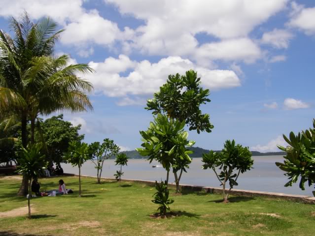 P7110269.jpg