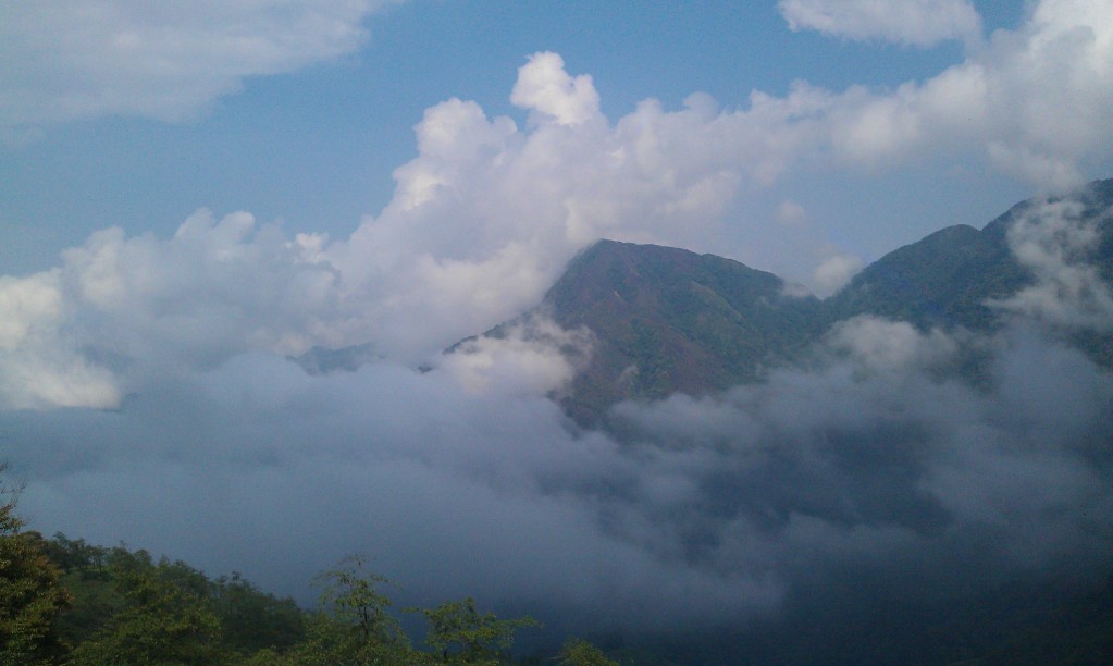 IMAG0176.jpg