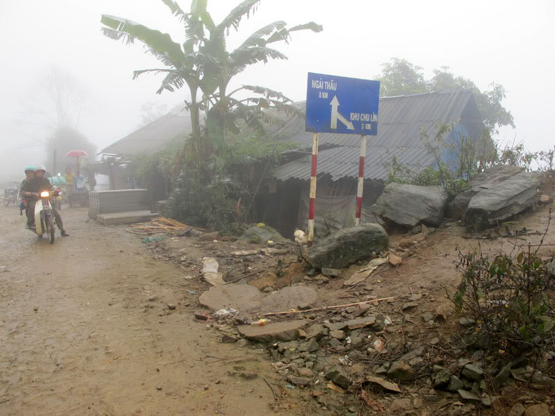 HongNgai2011754.jpg