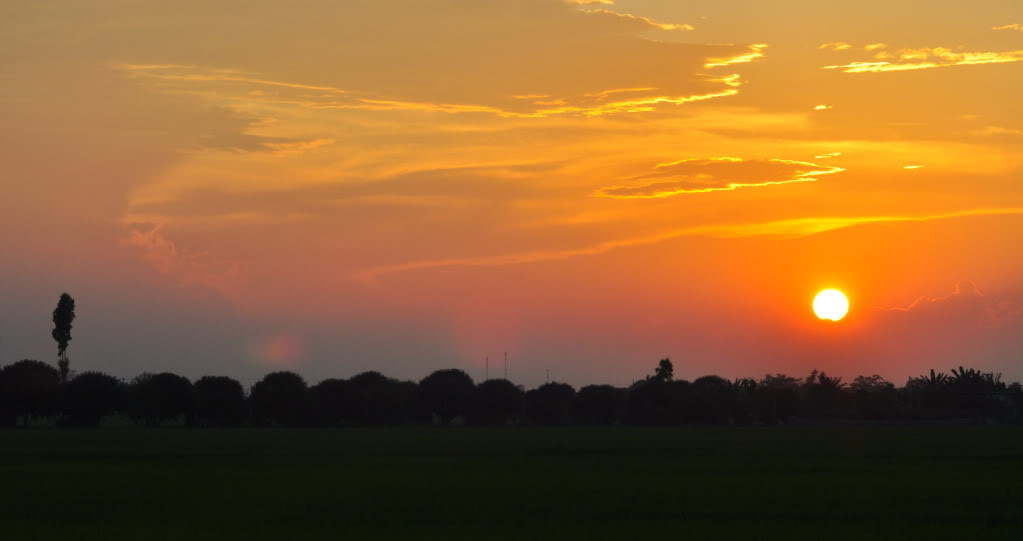DSC_0059-1.jpg