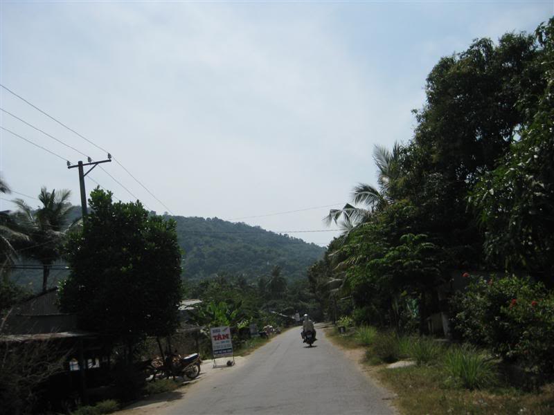 IMG_2354Medium.jpg