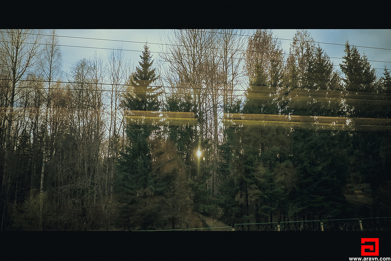 30963738480_00ce6728e6_c.jpg