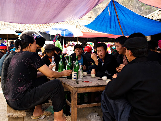 P5094459.jpg