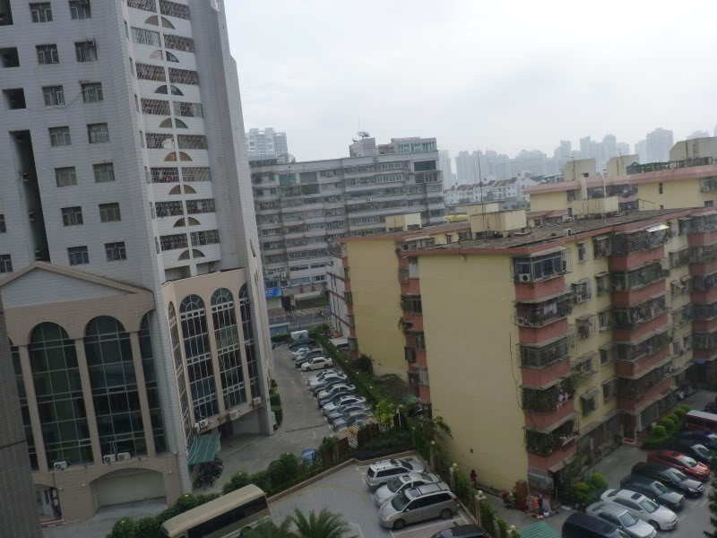 P1030466.jpg