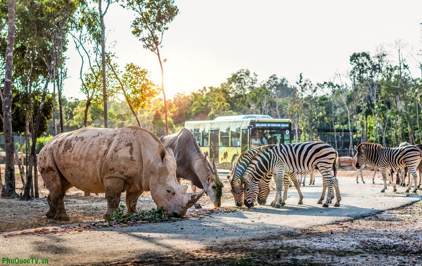 1679467556-vinpearl-safari-phu-quoc-2.JPG