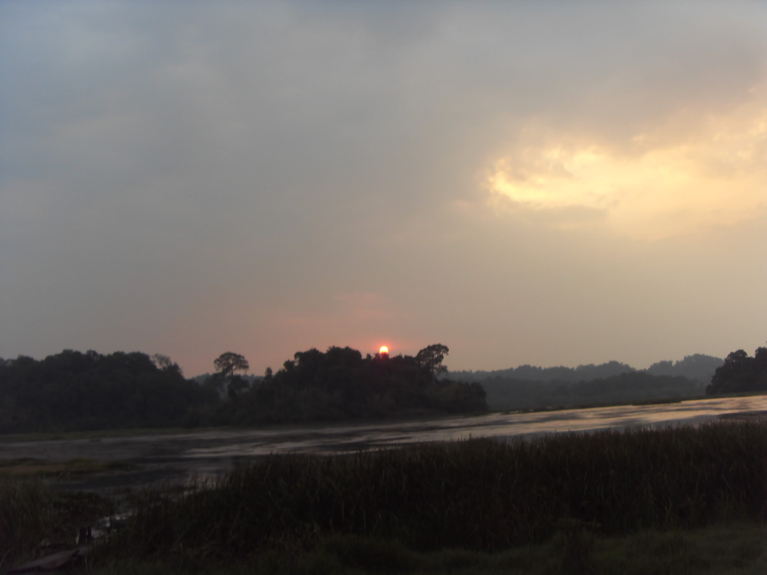 SDC11010.jpg
