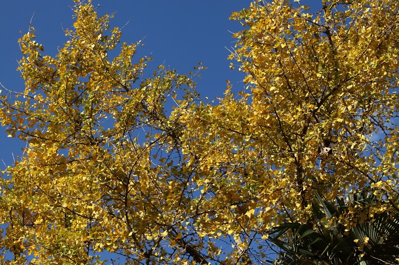 IMG_7710.jpg