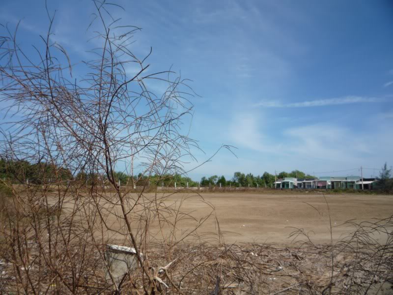 P1030137800x600.jpg