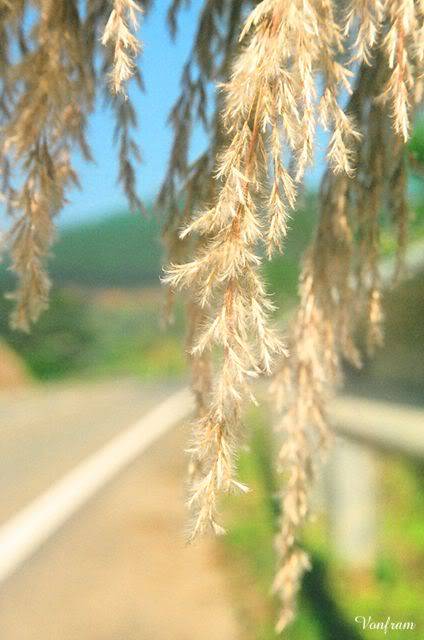 00041-10.jpg