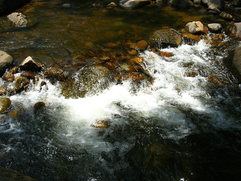 IMG_3034.jpg