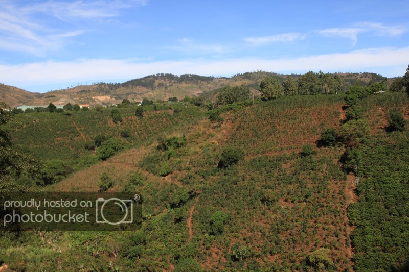 IMG_4449_zpsf4a8583b.jpg