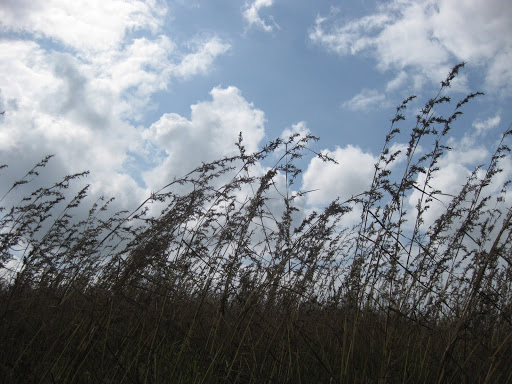 Picture%20285.jpg