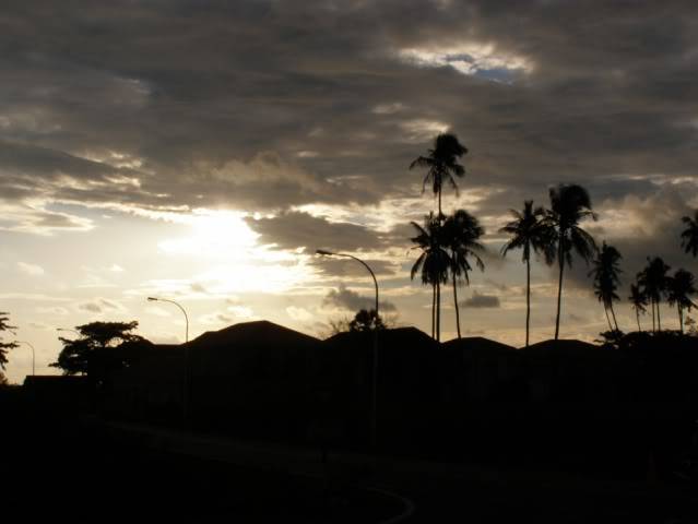 P7120653.jpg