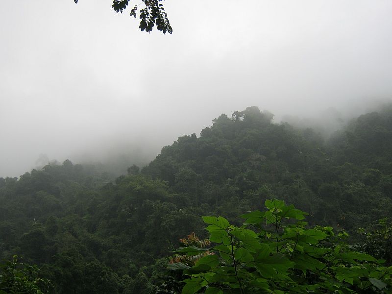 IMG_1787.jpg