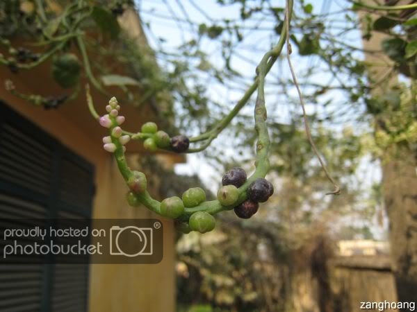 IMG_7874.jpg